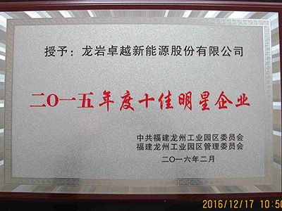2015年度十佳明星企业